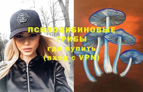 СК Абдулино