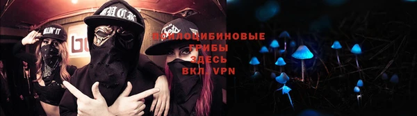 гашик Абинск