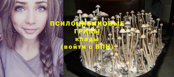 гашик Абинск
