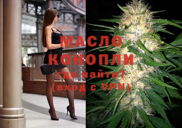 дмт Абаза