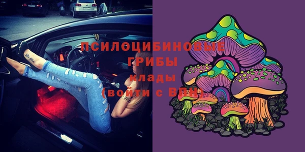 дмт Абаза
