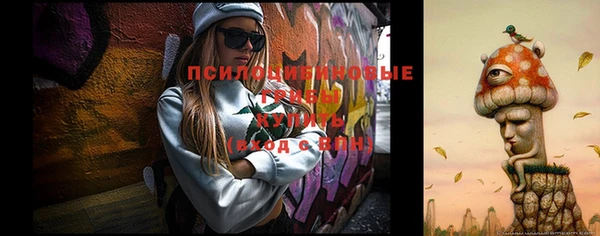 дмт Абаза