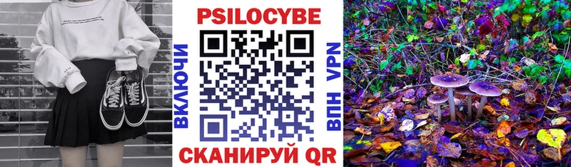 купить закладку  Покачи  Галлюциногенные грибы GOLDEN TEACHER 